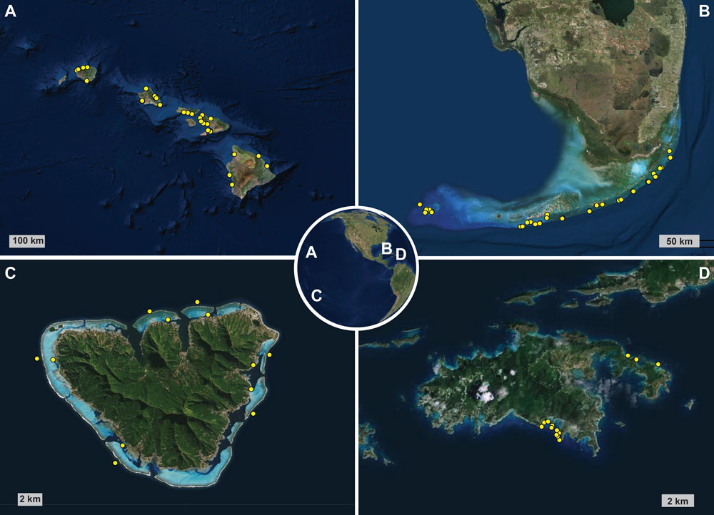Maps showing the locations where coral-reef survey data included in this data release were collected. Inset shows Earth with the four focal locations: A) Main Hawaiian Islands, B) Florida Keys, C) Moorea, French Polynesia, and D) St. John, U.S. Virgin Islands.