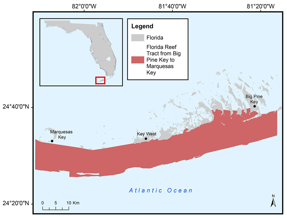 Data Release Projected Seafloor Elevation Along The Florida Reef