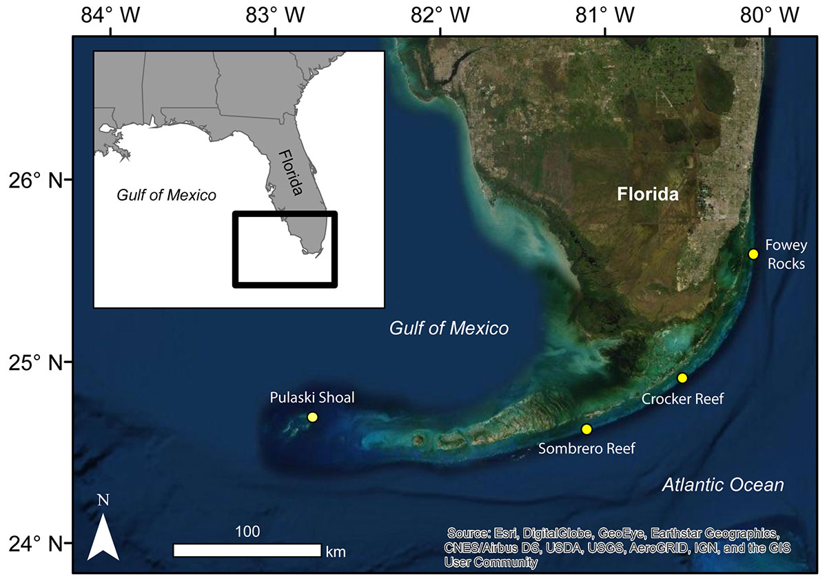 Satellite image map of south Florida with inset map and scale, and study sites shown with yellow dots